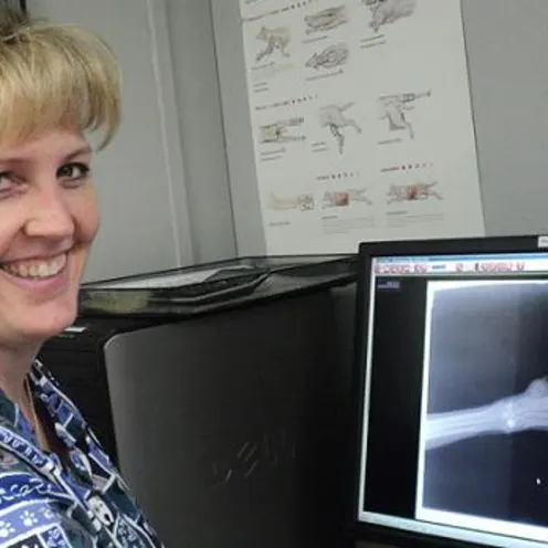 Licensed veterinary technician, Ann reviews radiographs of a patient's paw. 